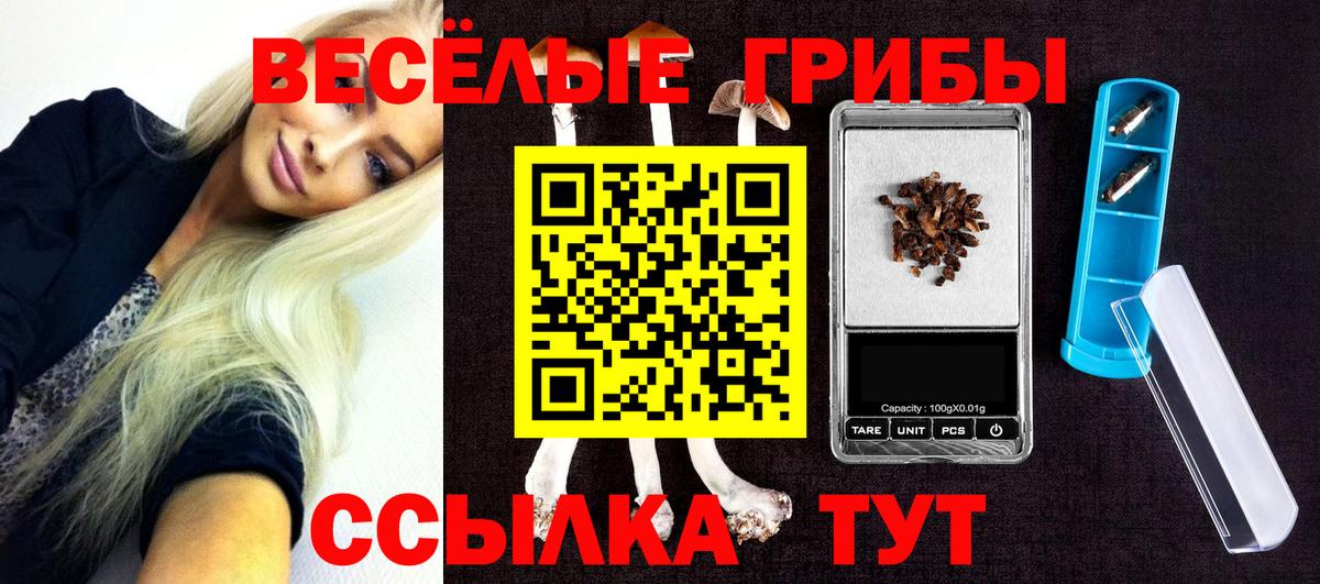 Псилоцибиновые грибы ЛСД  Вход с VPN  Гуково 