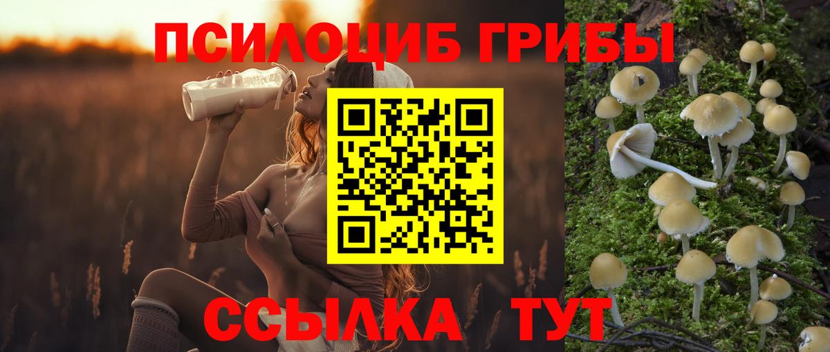 Галлюциногенные грибы Magic Shrooms Гуково